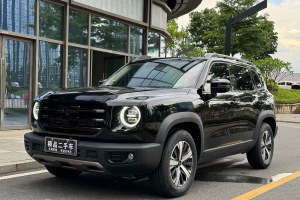 哈弗大狗 哈弗 1.5T DCT兩驅(qū)拉布拉多版