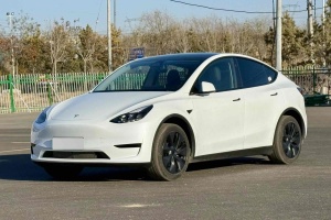 Model 3 特斯拉 改款 長續(xù)航后輪驅(qū)動版