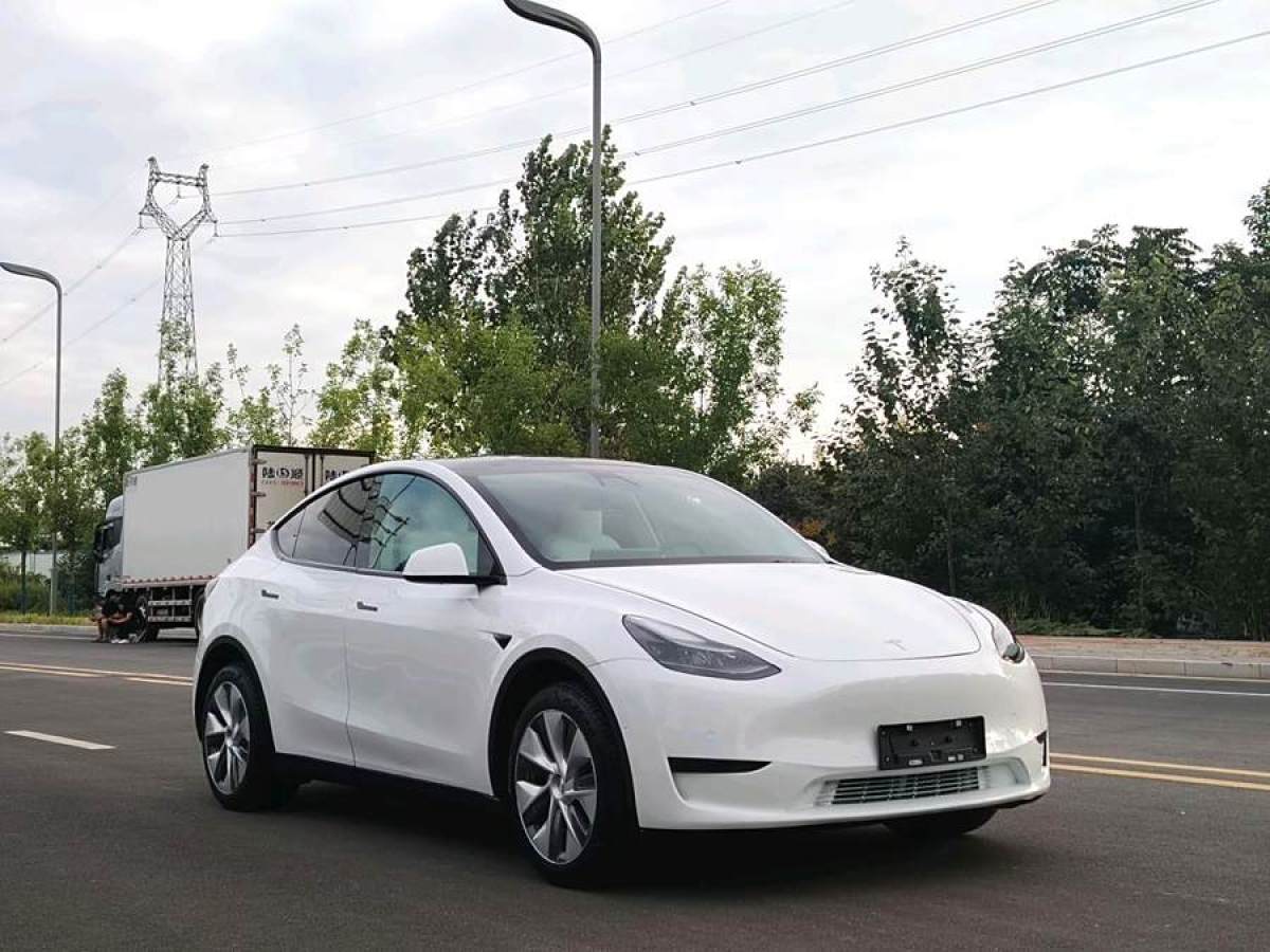 特斯拉 Model 3  2020款 改款 長續(xù)航后輪驅動版圖片