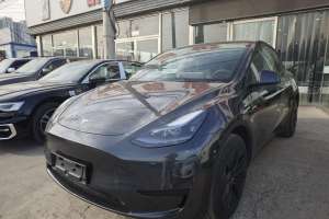 Model Y 特斯拉 后輪驅(qū)動版