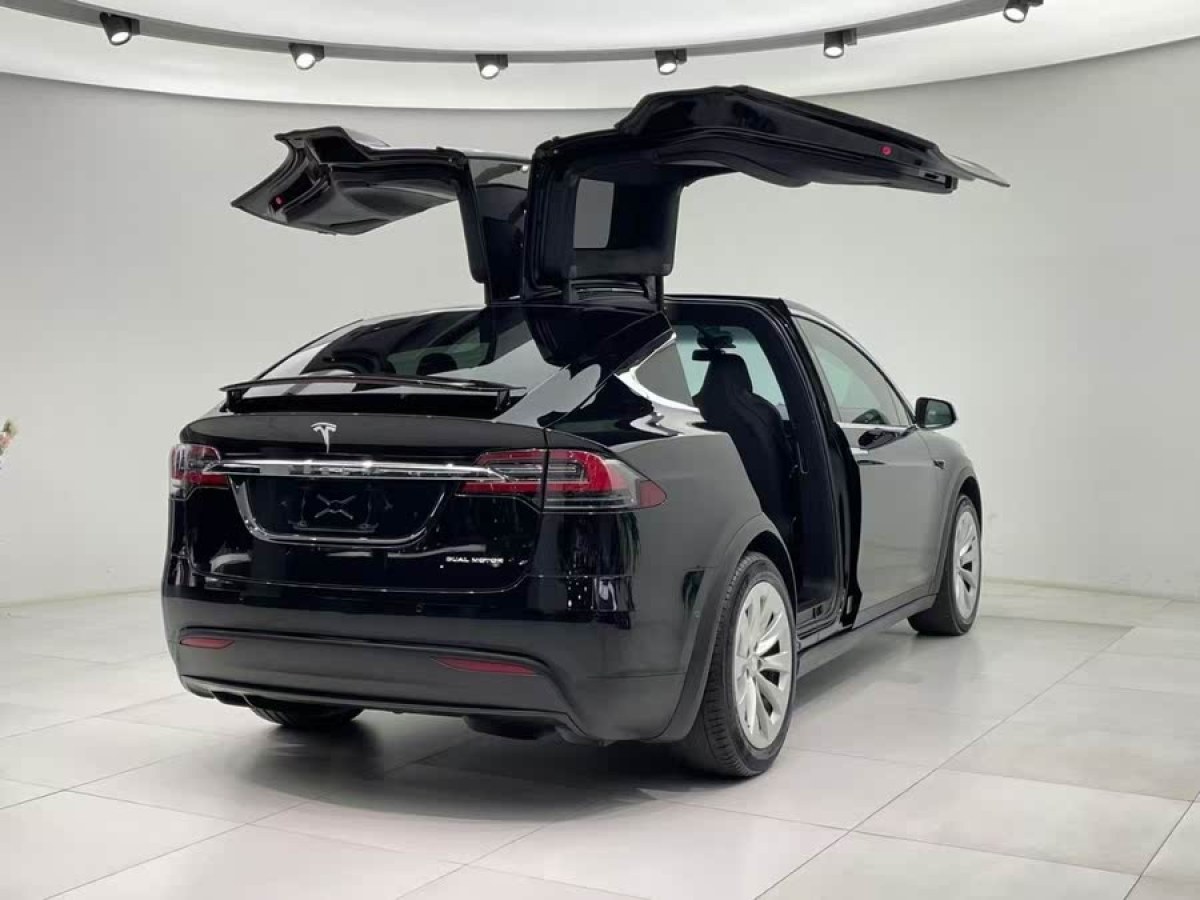 特斯拉 Model X  2019款 長續(xù)航版圖片