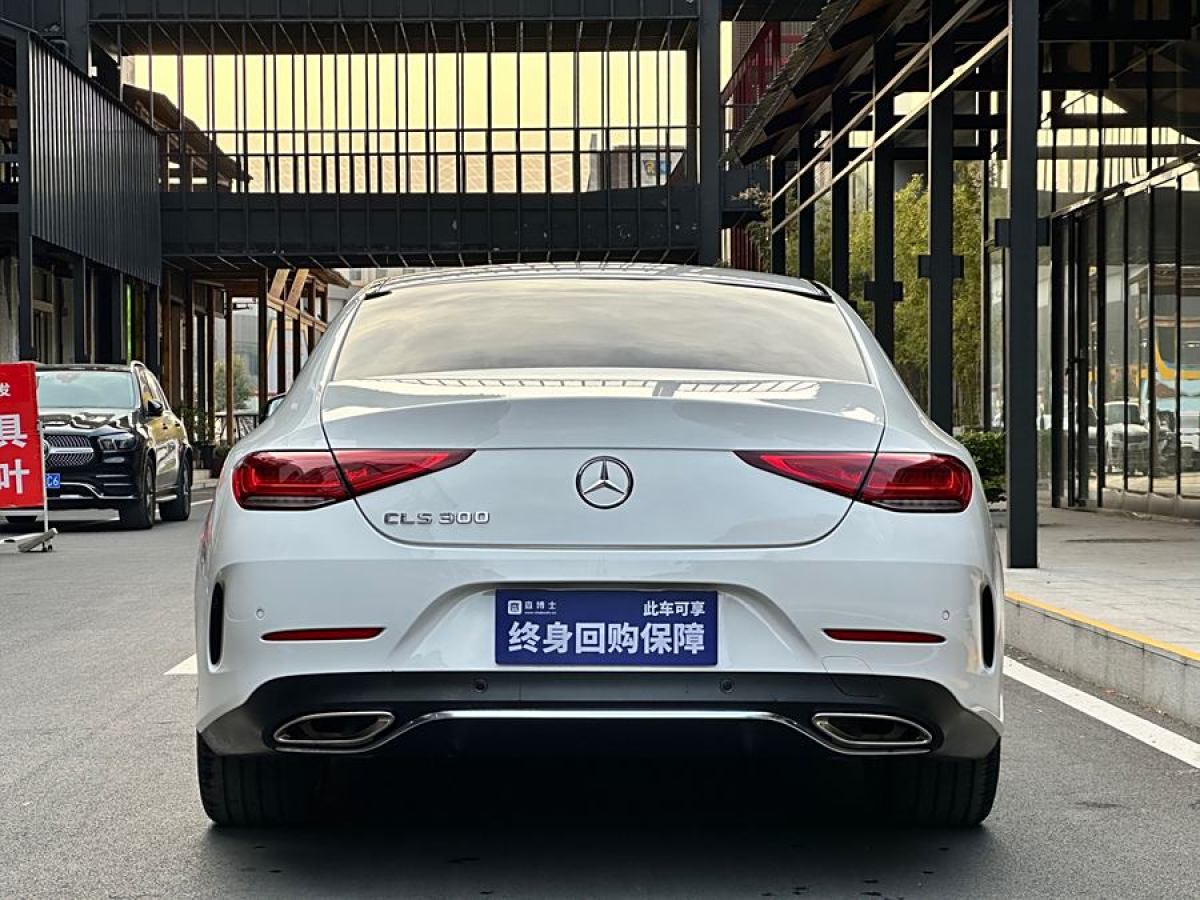 奔馳 奔馳CLS級(jí)  2018款 CLS 300 豪華型圖片