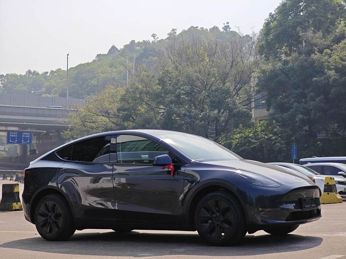 特斯拉 Model Y  2024款 長(zhǎng)續(xù)航全輪驅(qū)動(dòng)版圖片