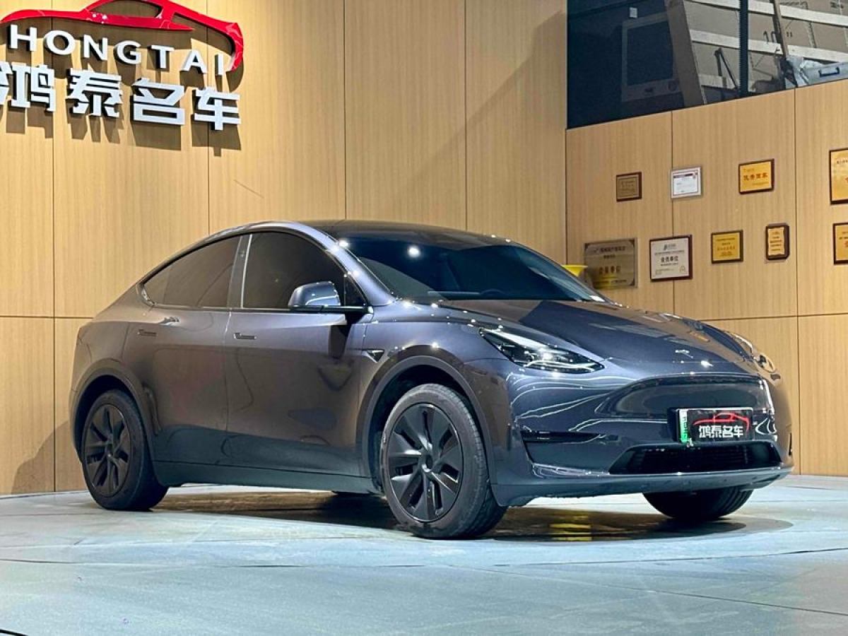 特斯拉 Model 3  2020款 改款 長續(xù)航后輪驅(qū)動(dòng)版圖片