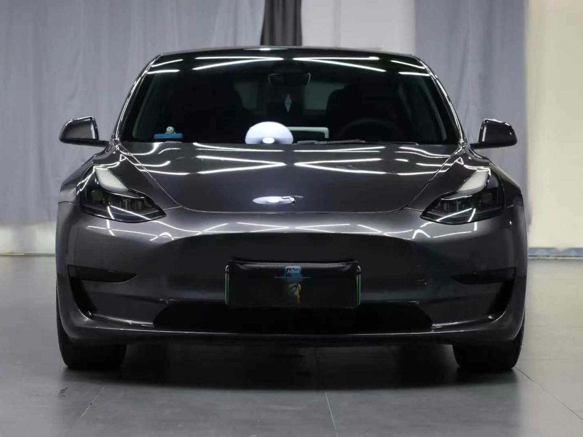 特斯拉 Model Y  2022款 Performance高性能全輪驅(qū)動版圖片