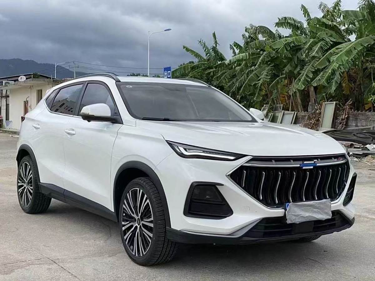 長(zhǎng)安歐尚 長(zhǎng)安歐尚X5  2021款 1.5T DCT旗艦型圖片