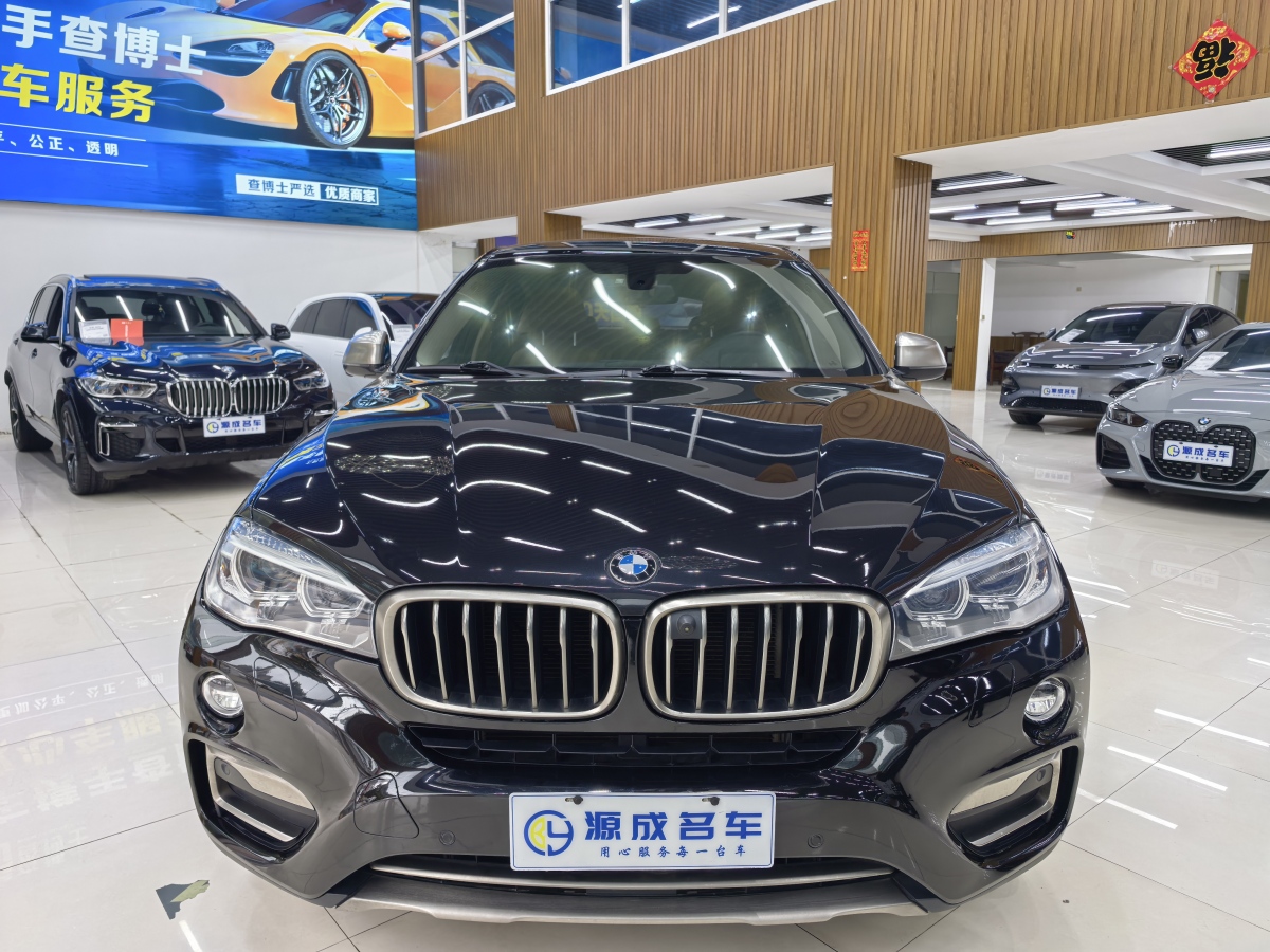 寶馬 寶馬X6  2017款 xDrive35i 領(lǐng)先型圖片