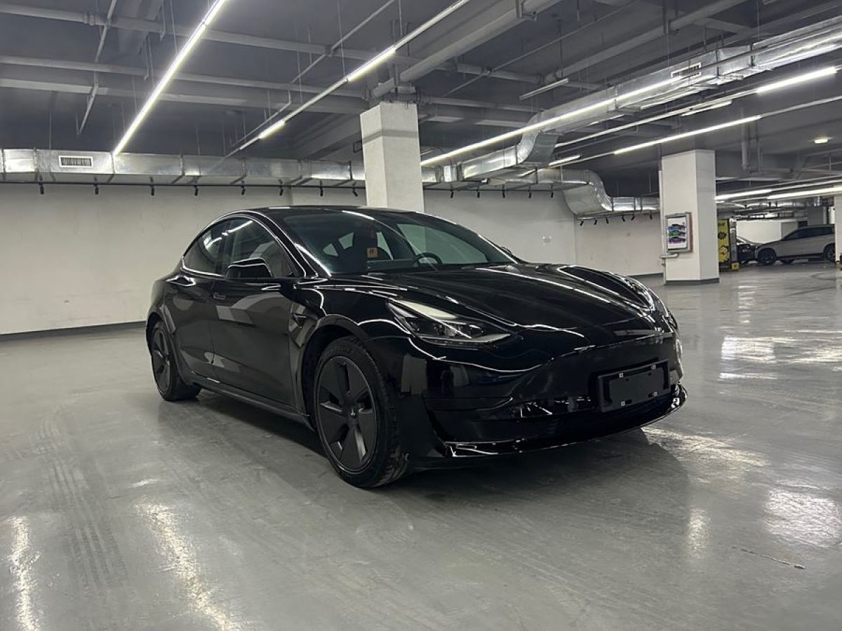 特斯拉 Model 3  2021款 標(biāo)準(zhǔn)續(xù)航后驅(qū)升級版 3D6圖片