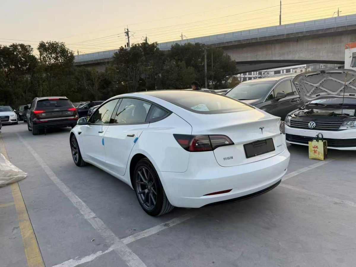 特斯拉 Model S  2023款 三電機(jī)全輪驅(qū)動(dòng) Plaid版圖片