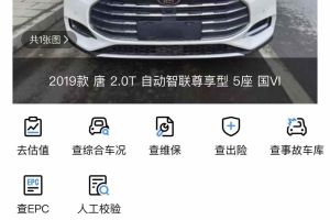 唐新能源 比亞迪 DM 2.0T 雙擎四驅(qū)尊貴型 7座 國VI