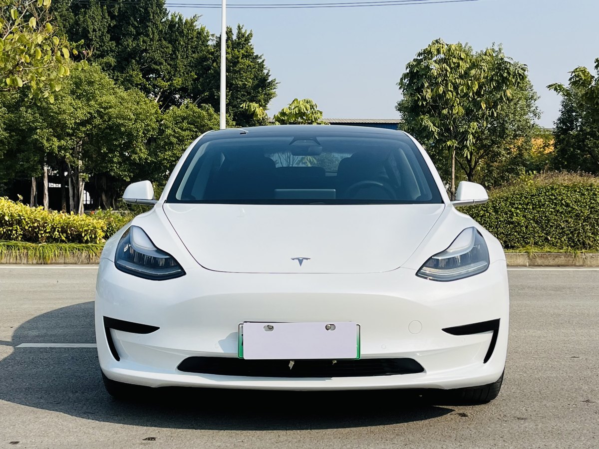 特斯拉 Model 3  2020款 改款 標(biāo)準(zhǔn)續(xù)航后驅(qū)升級(jí)版圖片