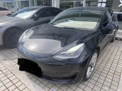 2021年6月 特斯拉 Model 3 標(biāo)準(zhǔn)續(xù)航后驅(qū)升級(jí)版 3D6圖片
