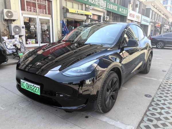 特斯拉 Model Y  2020款 改款 长续航后轮驱动版