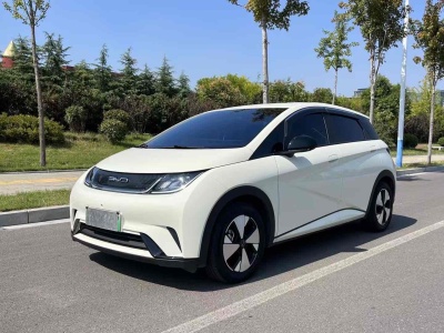 2023年6月 比亞迪 海豚 420km 自由版圖片