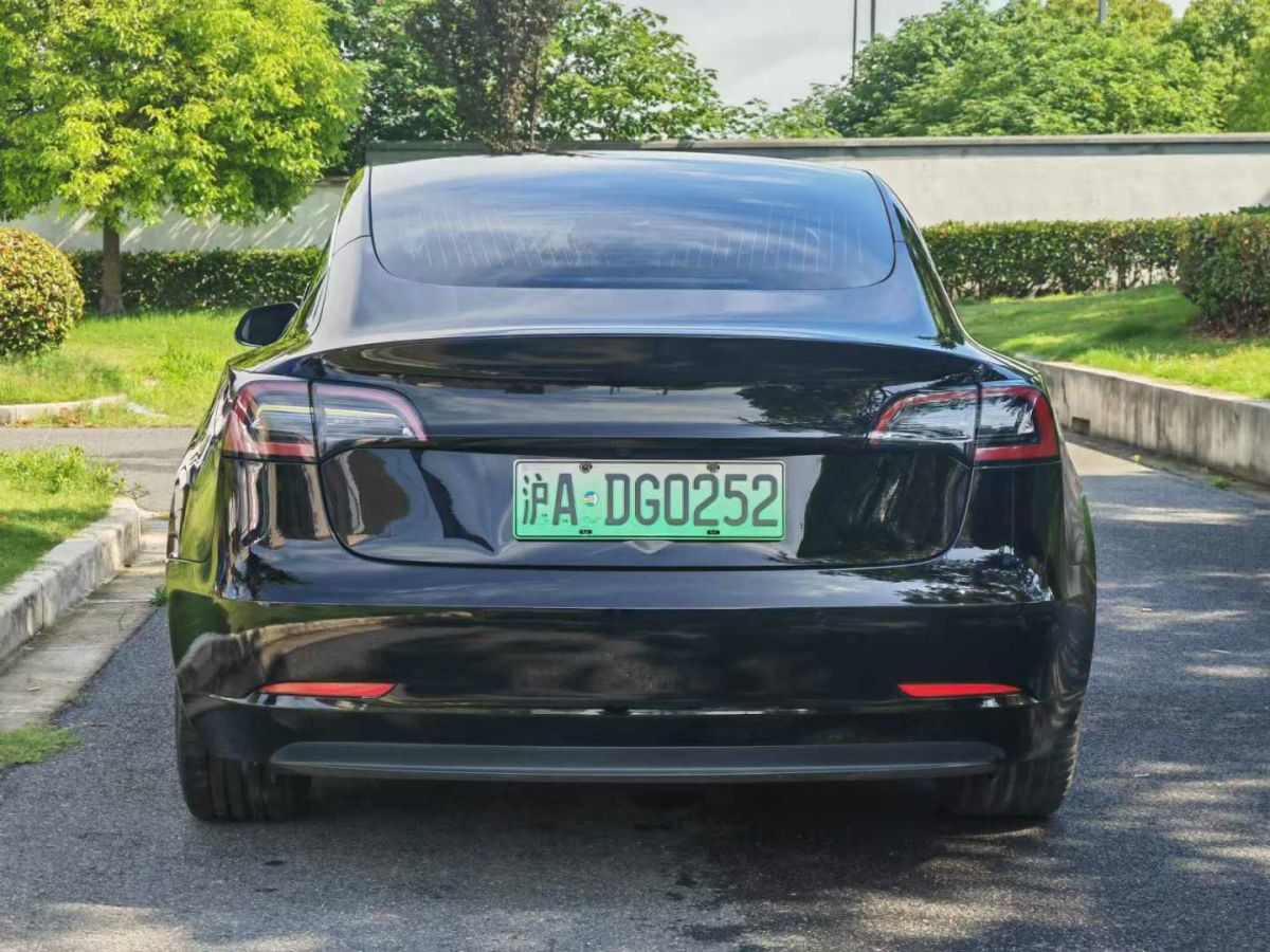 特斯拉 Model Y  2021款 標(biāo)準(zhǔn)續(xù)航后驅(qū)版圖片