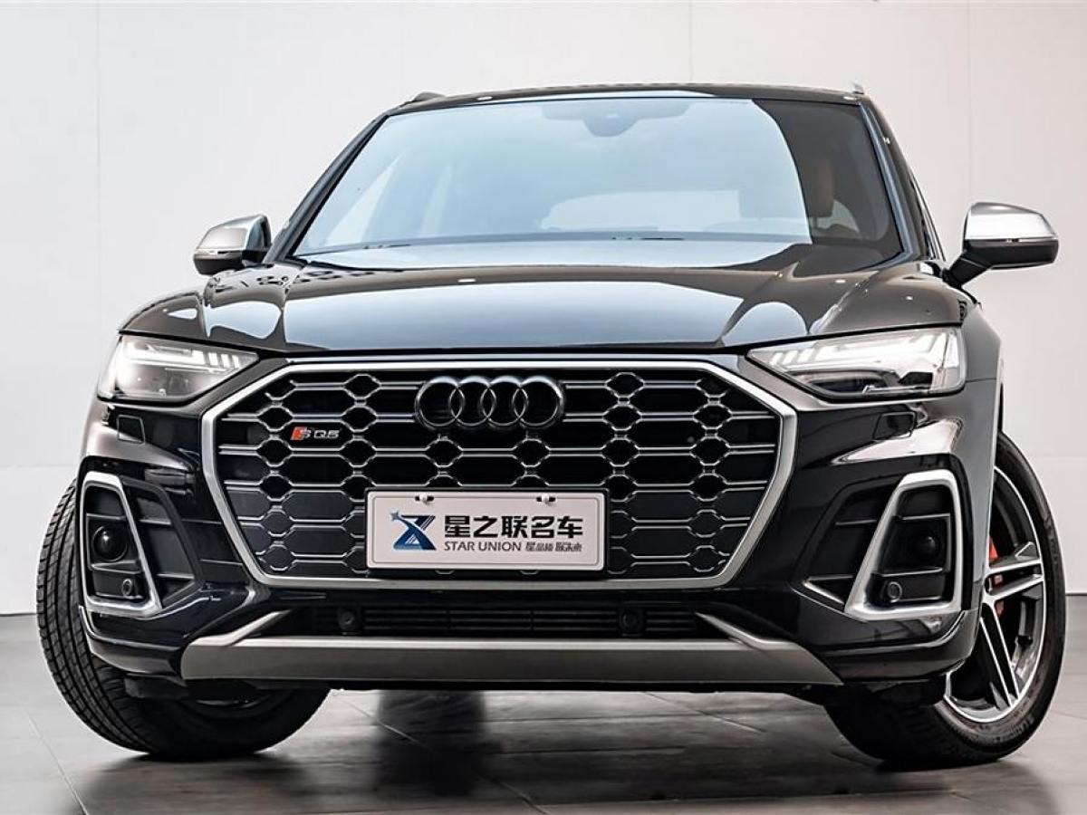 奧迪 奧迪SQ5  2014款 SQ5 3.0 TFSI quattro圖片