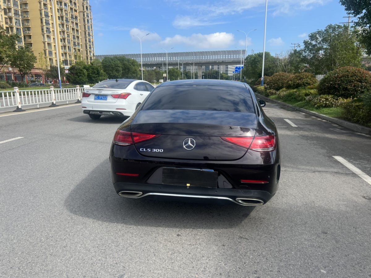 奔馳 奔馳CLS級(jí)  2018款 CLS 300 豪華型圖片