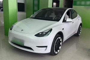 Model Y 特斯拉 后輪驅(qū)動版