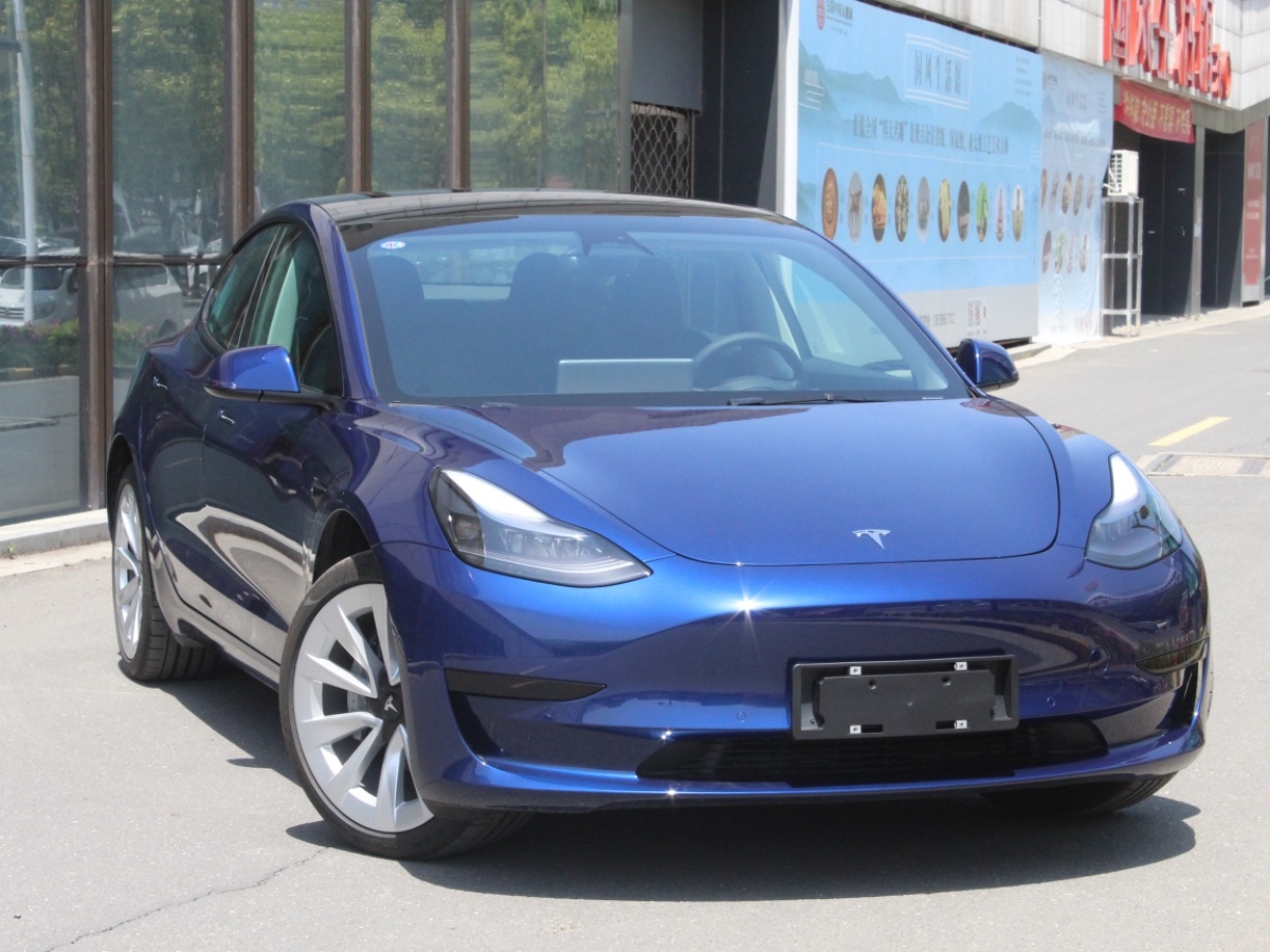 特斯拉 model 3 2019款 長續航後驅版圖片