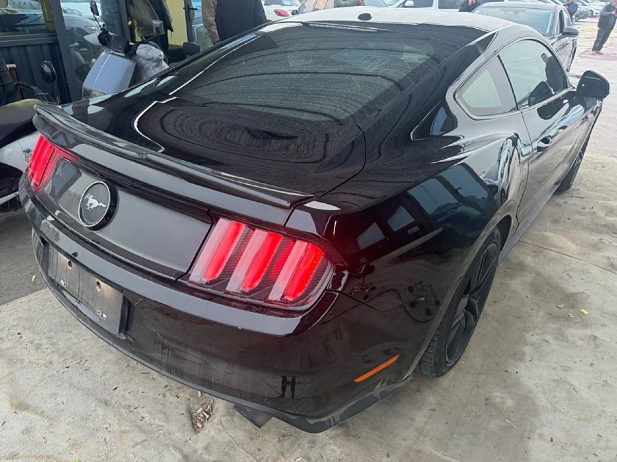 福特 Mustang  2015款 2.3T 性能版圖片