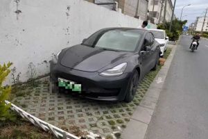 Model S 特斯拉 Performance 高性能版