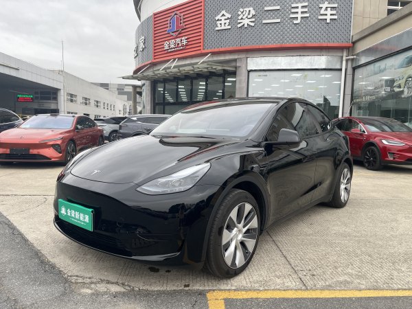 特斯拉 Model Y  2020款 改款 长续航后轮驱动版