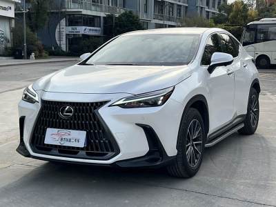 2022年1月 雷克薩斯 NX 260 前驅(qū) 創(chuàng)馳版圖片