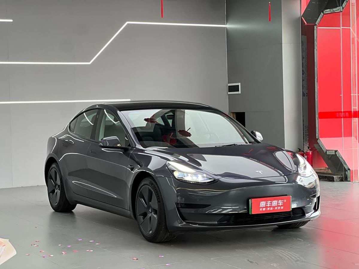 特斯拉 Model 3  2021款 改款 標(biāo)準(zhǔn)續(xù)航后驅(qū)升級(jí)版圖片