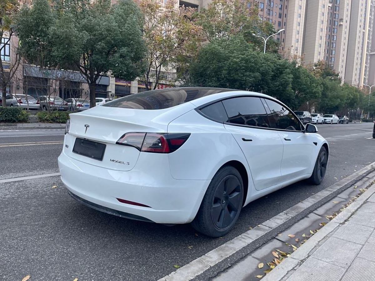 特斯拉 Model 3  2021款 改款 標(biāo)準(zhǔn)續(xù)航后驅(qū)升級(jí)版圖片