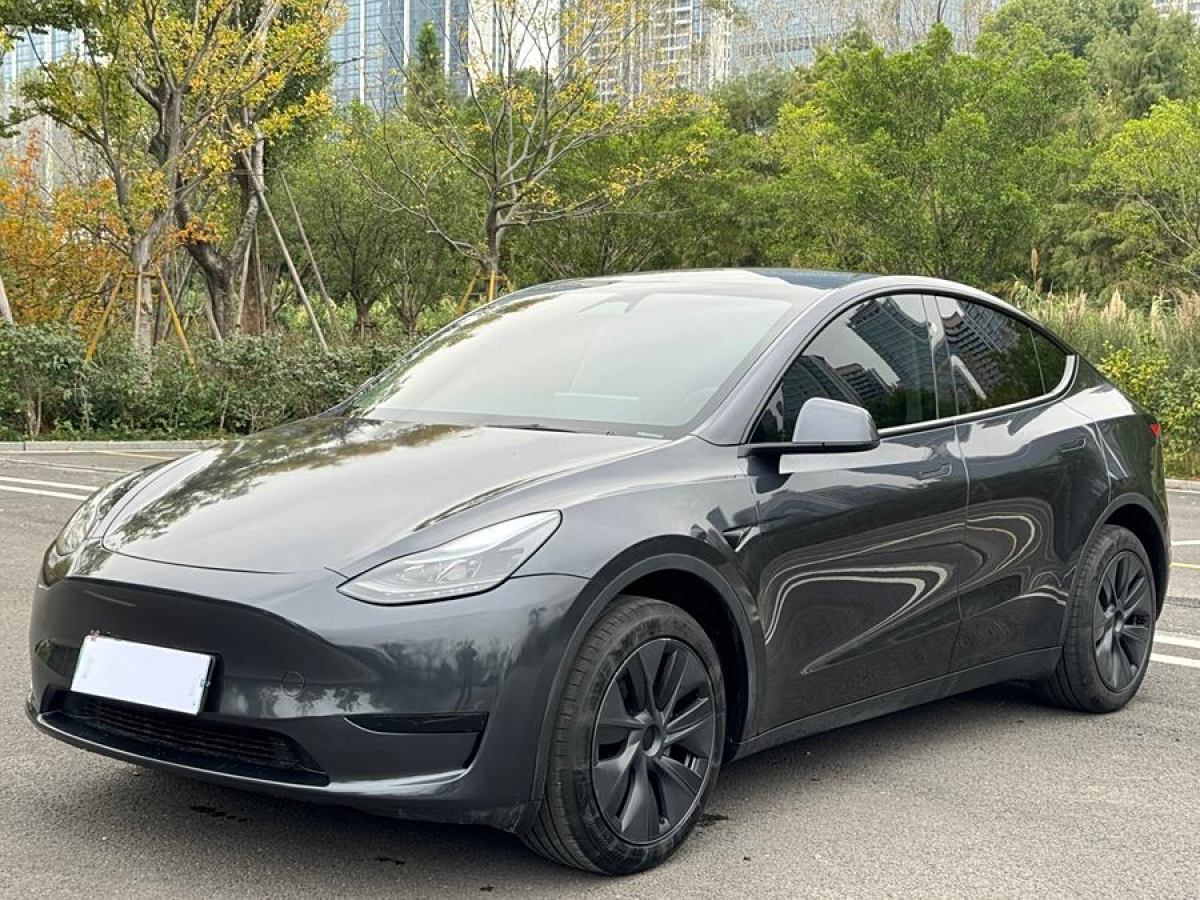 特斯拉 Model 3  2020款 改款 長續(xù)航后輪驅(qū)動版圖片