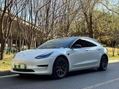 2020年10月 特斯拉 Model 3 標(biāo)準(zhǔn)續(xù)航后驅(qū)升級(jí)版圖片