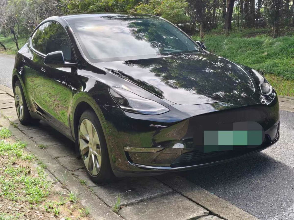 特斯拉 Model Y  2022款 Performance高性能全輪驅(qū)動版圖片