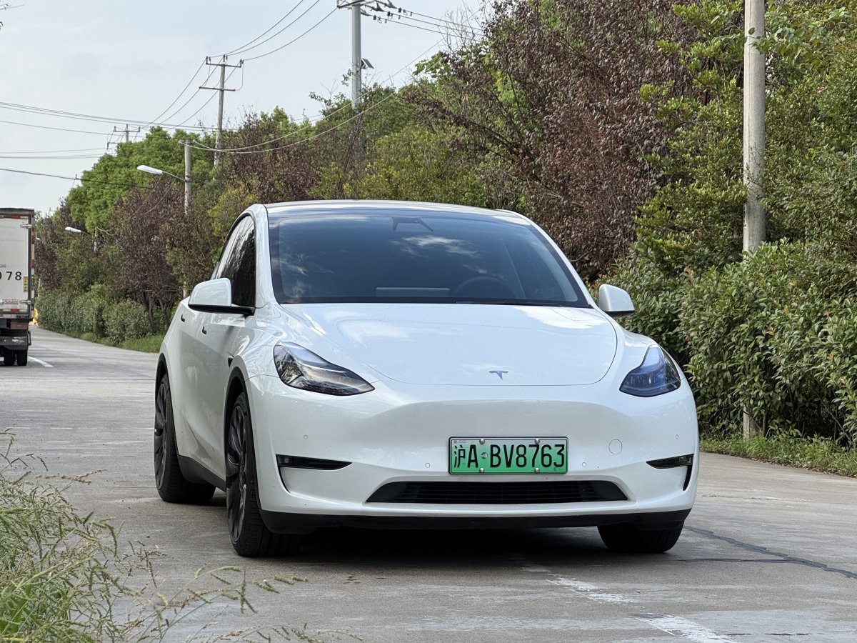 特斯拉 Model Y  2022款 Performance高性能全輪驅動版圖片