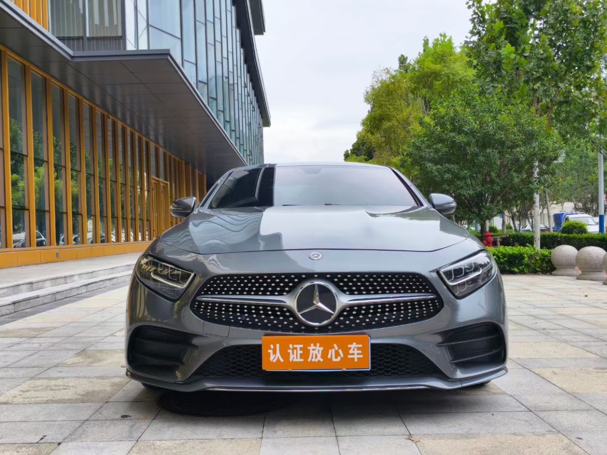 奔驰 奔驰CLS级  2020款 CLS 300 动感型图片