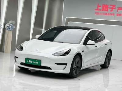 2021年6月 特斯拉 Model 3 標(biāo)準(zhǔn)續(xù)航后驅(qū)升級版圖片