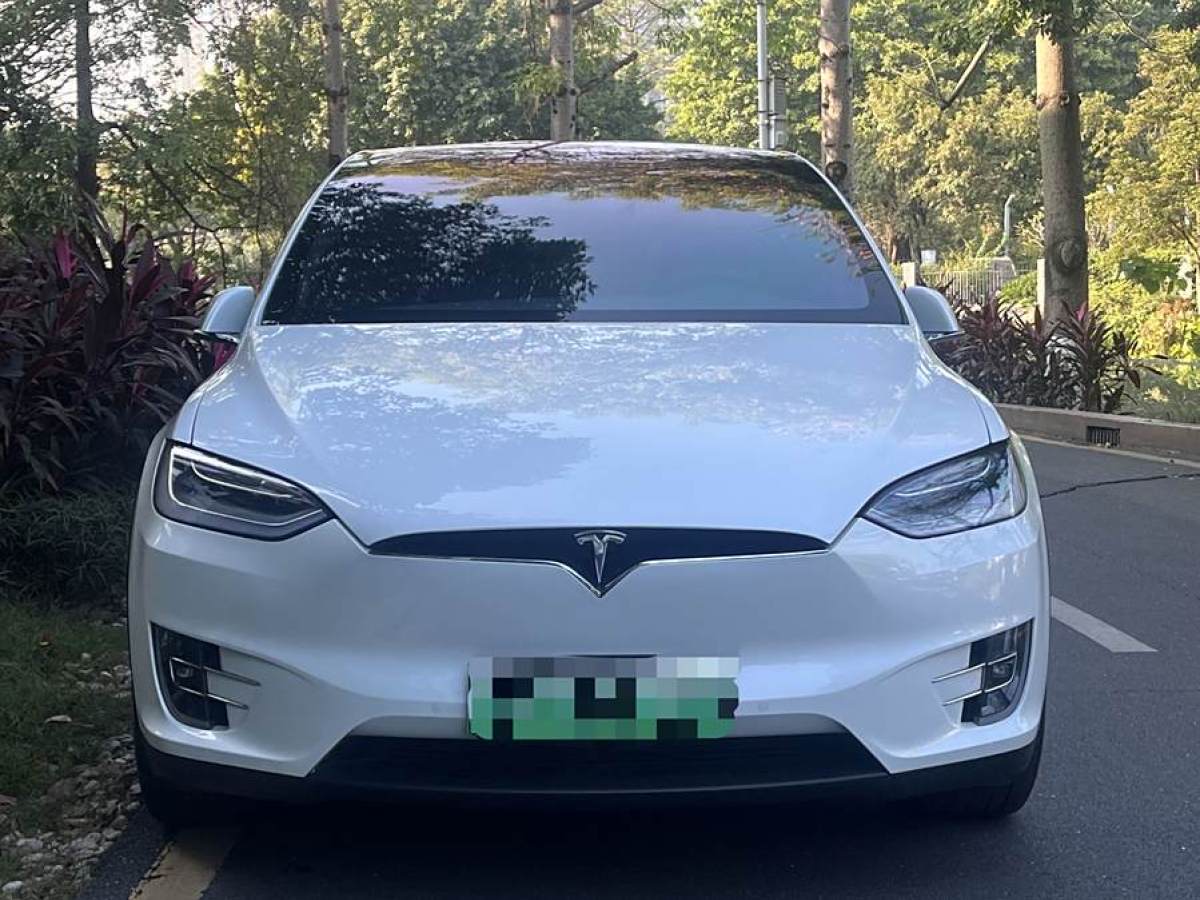 特斯拉 Model X  2019款 長(zhǎng)續(xù)航版圖片