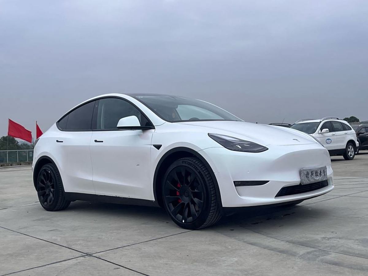 特斯拉 Model Y  2021款 改款 標準續(xù)航后驅(qū)升級版圖片