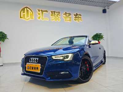 2015年1月 奧迪 奧迪A5(進口) Cabriolet 45 TFSI風(fēng)尚版圖片