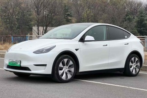 Model 3 特斯拉 后轮驱动版