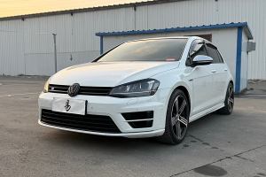 高尔夫 大众 2.0TSI R