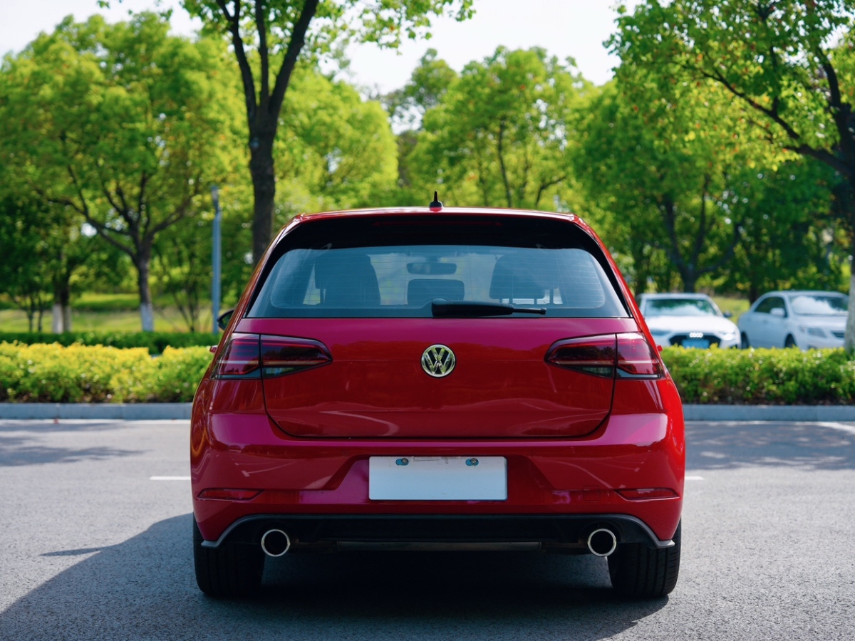 2019年01月大眾 高爾夫  2019款 2.0TSI GTI