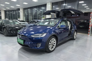 Model X 特斯拉 Model X 100D 长续航版