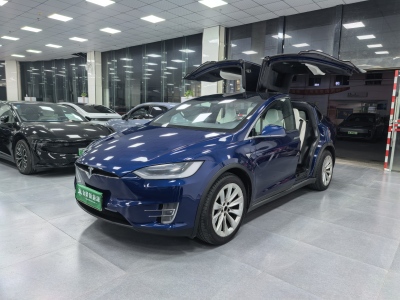 2019年10月 特斯拉 Model X Model X 100D 長(zhǎng)續(xù)航版圖片