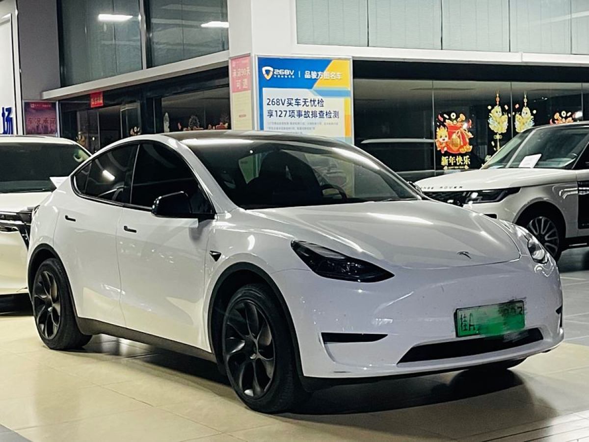 特斯拉 Model 3  2020款 改款 長續(xù)航后輪驅動版圖片