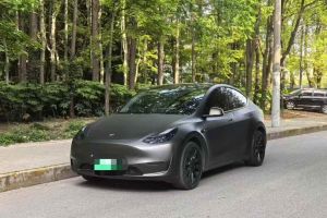 Model S 特斯拉 Performance 高性能版