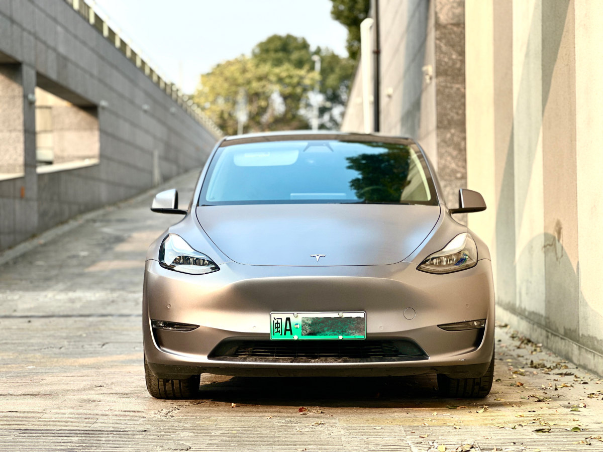 特斯拉 Model 3  2021款 改款 標(biāo)準(zhǔn)續(xù)航后驅(qū)升級(jí)版圖片