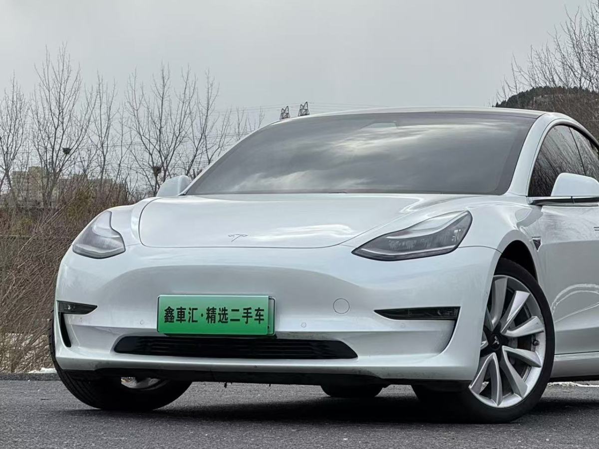 特斯拉 Model 3  2020款 改款 長(zhǎng)續(xù)航后輪驅(qū)動(dòng)版圖片