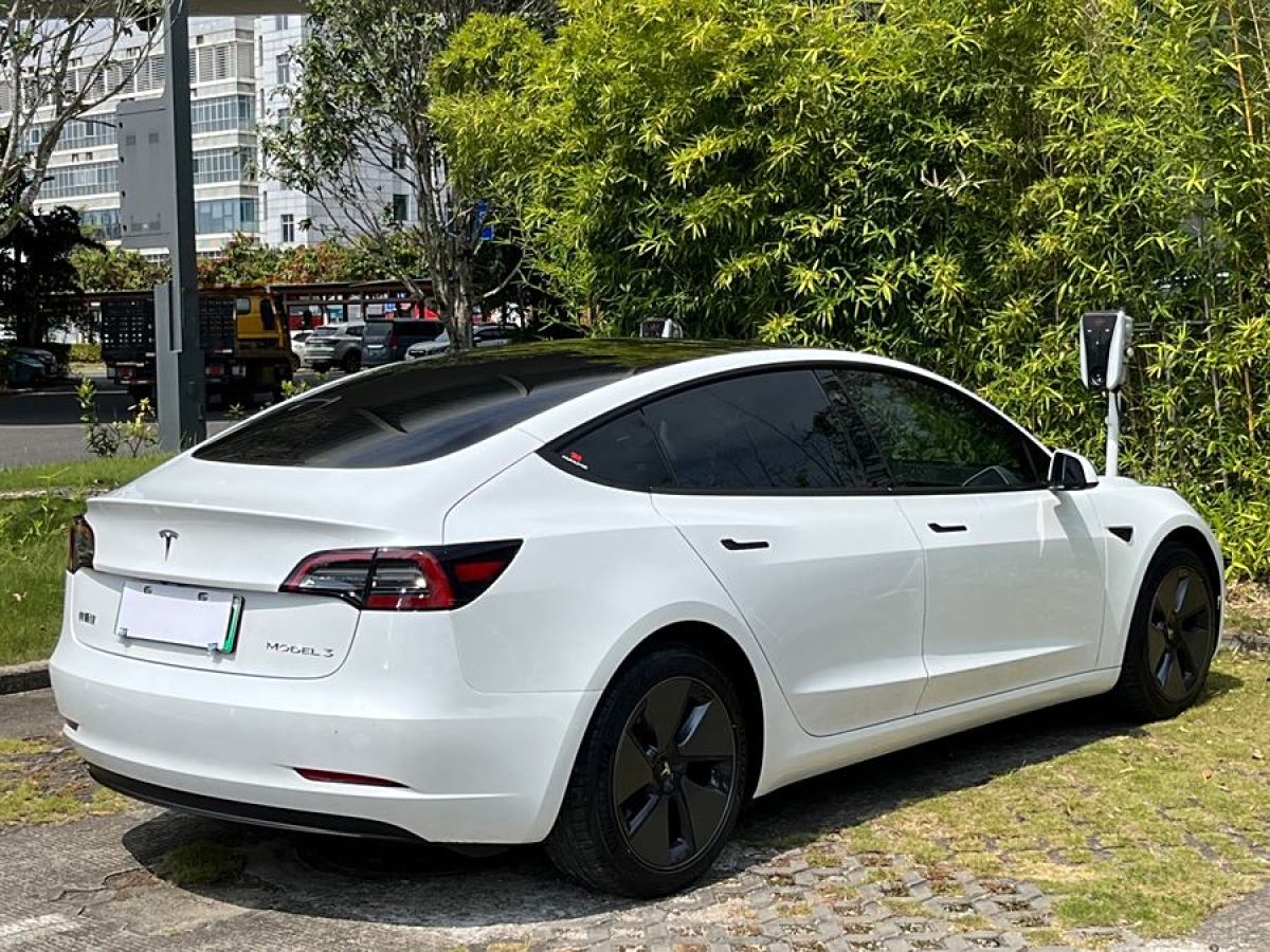 特斯拉 Model Y  2021款 改款 標準續(xù)航后驅升級版圖片