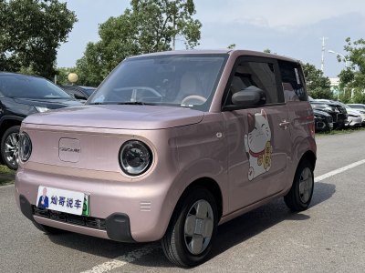 吉利 熊貓mini 200km 耐力熊圖片