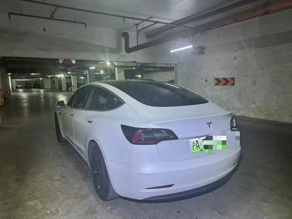 特斯拉 Model 3  2020款 標(biāo)準(zhǔn)續(xù)航后驅(qū)升級版圖片